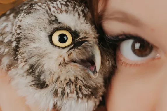 VegasWild Cazino Cazinou Suport